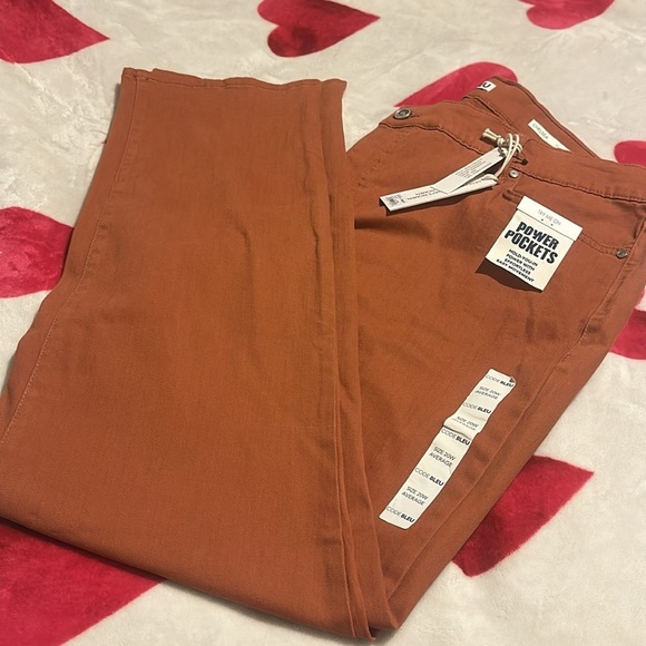 NWT Code Bleu
Plus Size Chelsea Straight Leg Stretch Denim Jeans in terracotta - Picture 2 of 11